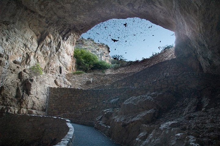 Carlsbad Caverns National Park (NPS) Bats in Flight